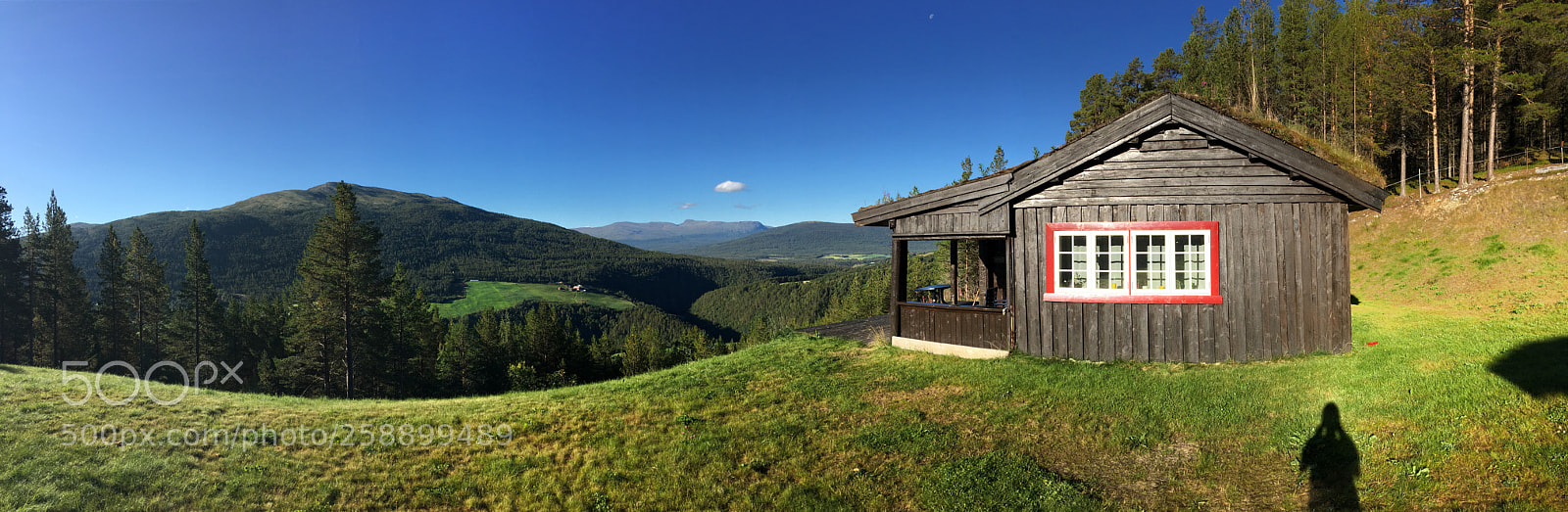 Apple iPhone 6s Plus sample photo. Greeny norway photography
