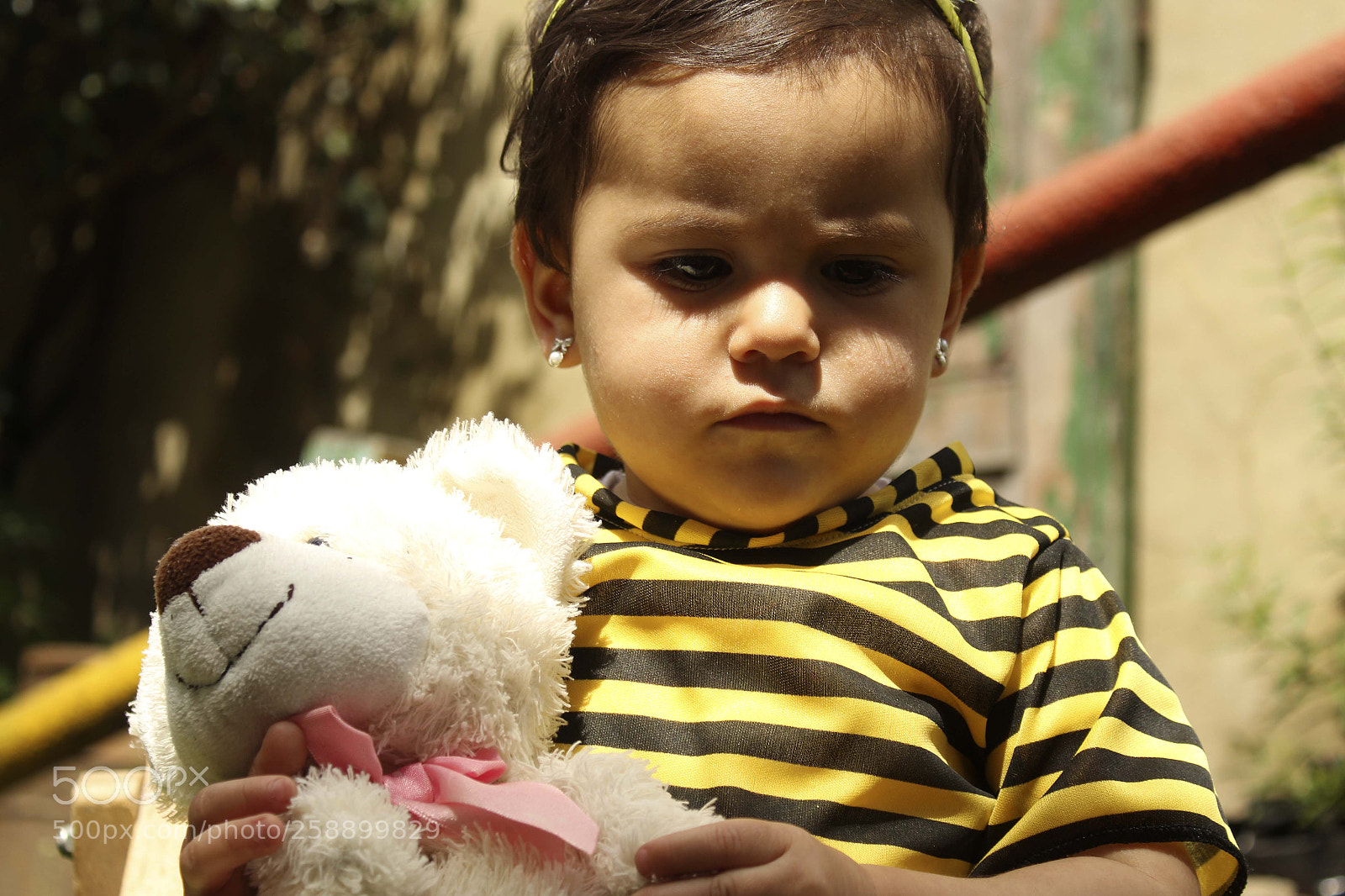 Canon EOS 1200D (EOS Rebel T5 / EOS Kiss X70 / EOS Hi) sample photo. Sara la abeja photography