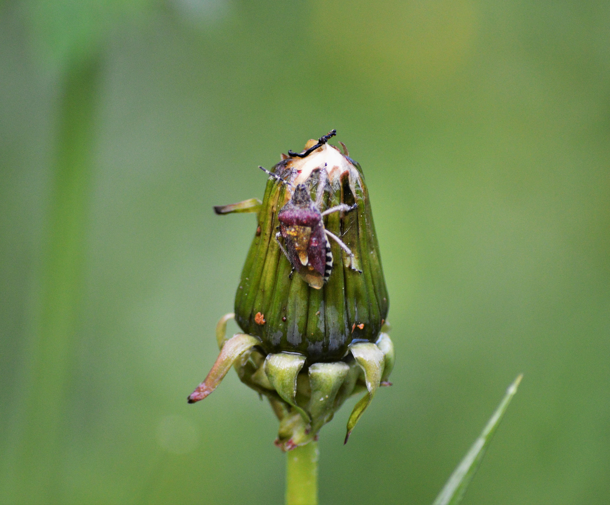Nikon D3200 sample photo