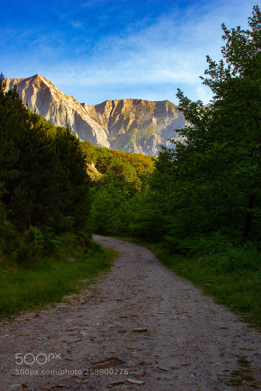 Canon EOS 600D (Rebel EOS T3i / EOS Kiss X5) sample photo. Mountain road photography
