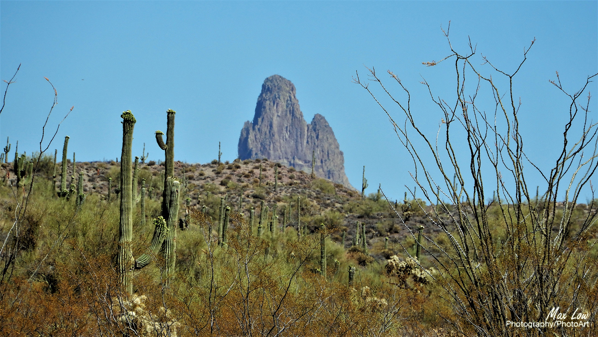 Nikon Coolpix A900 sample photo. Weaver’s needle photography