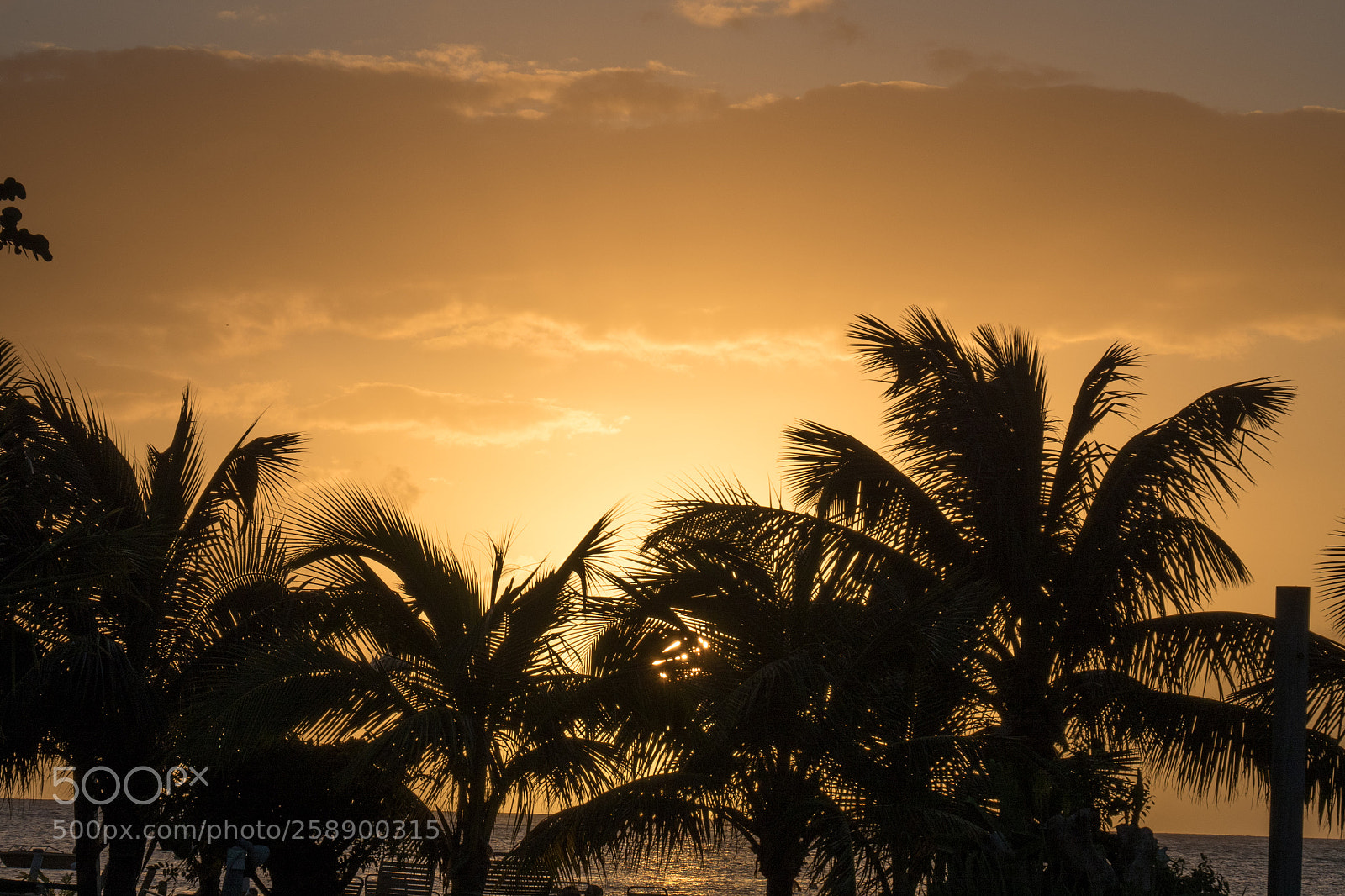 Olympus OM-D E-M5 II sample photo. Caribbean skies photography