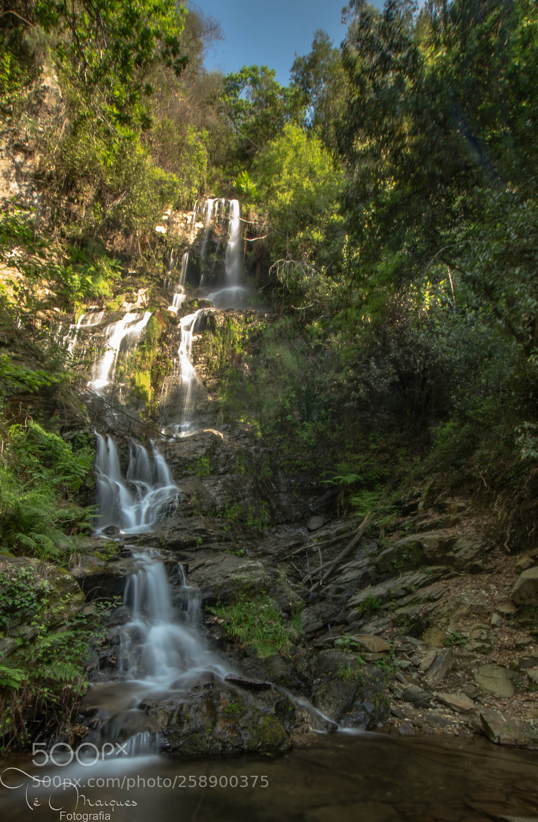 Nikon D7200 sample photo. Water and stone route photography