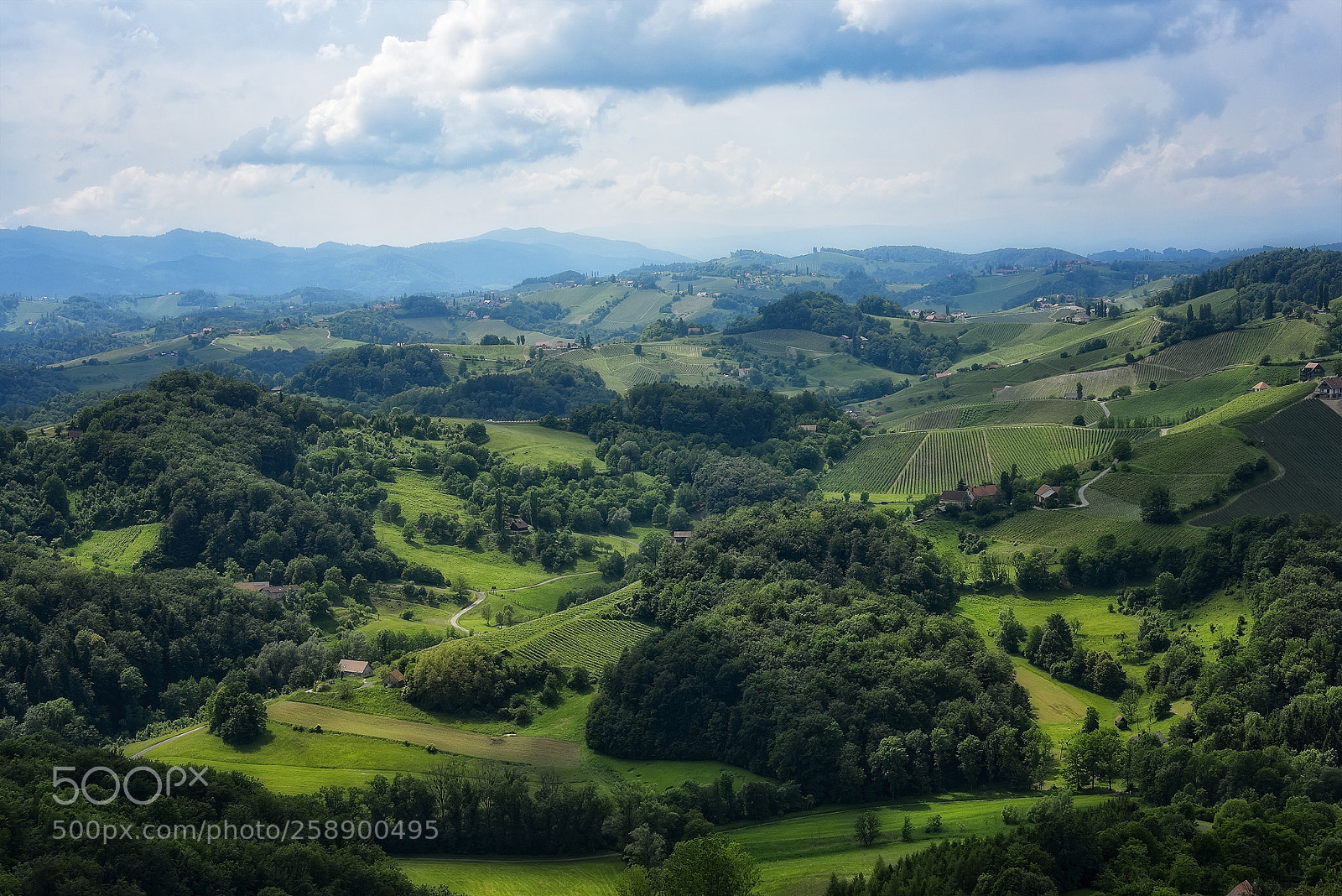 Nikon D810 sample photo. South styrian wine route photography