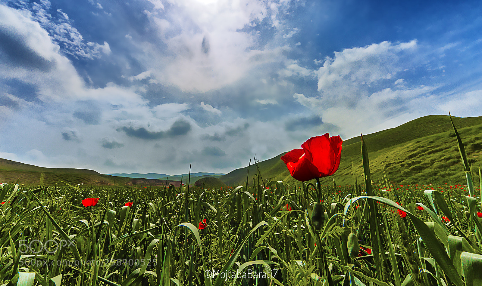 Canon EOS 6D sample photo. Untitled photography