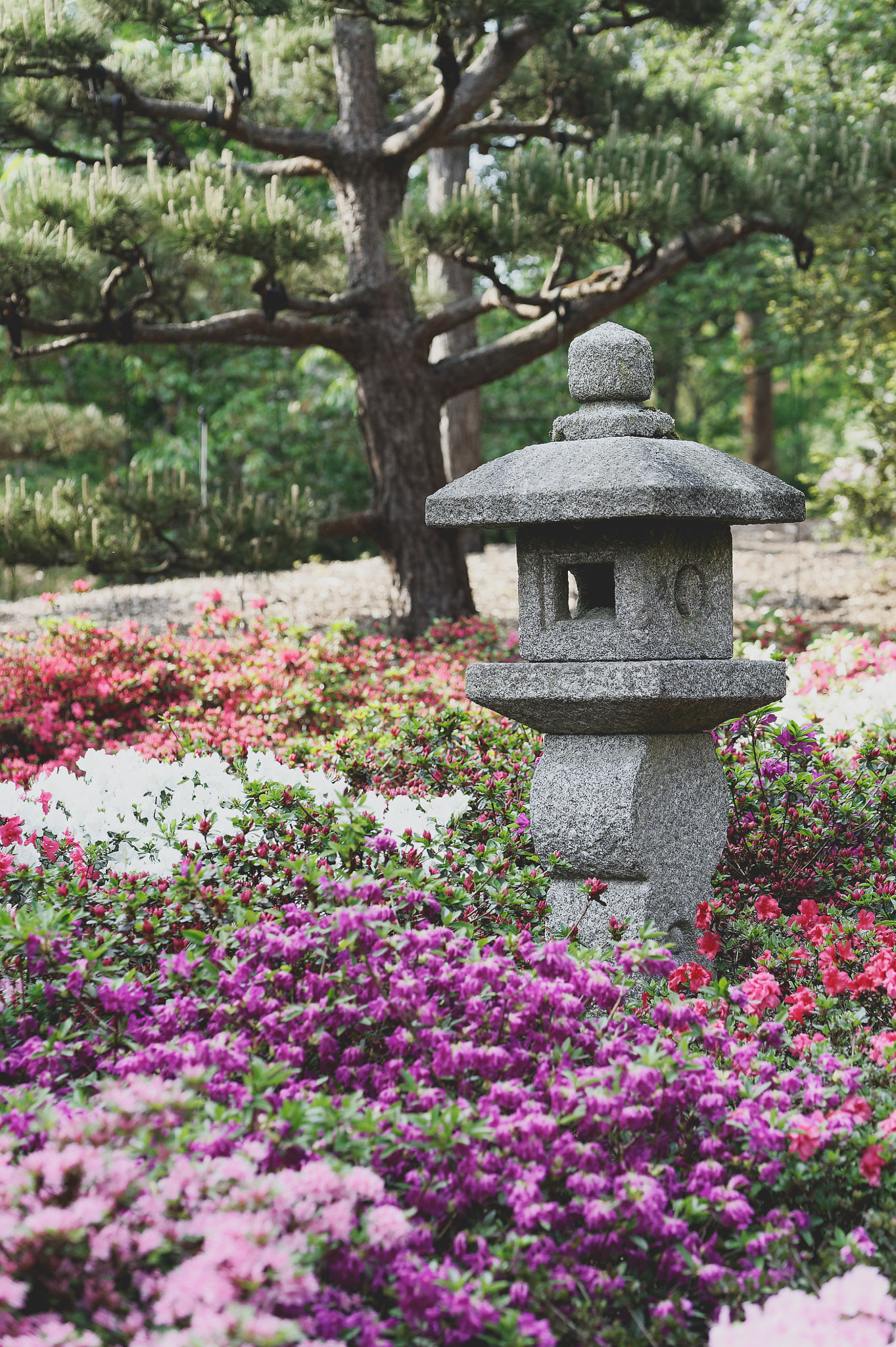 Nikon D700 sample photo. Japanischer garten, hamburg photography