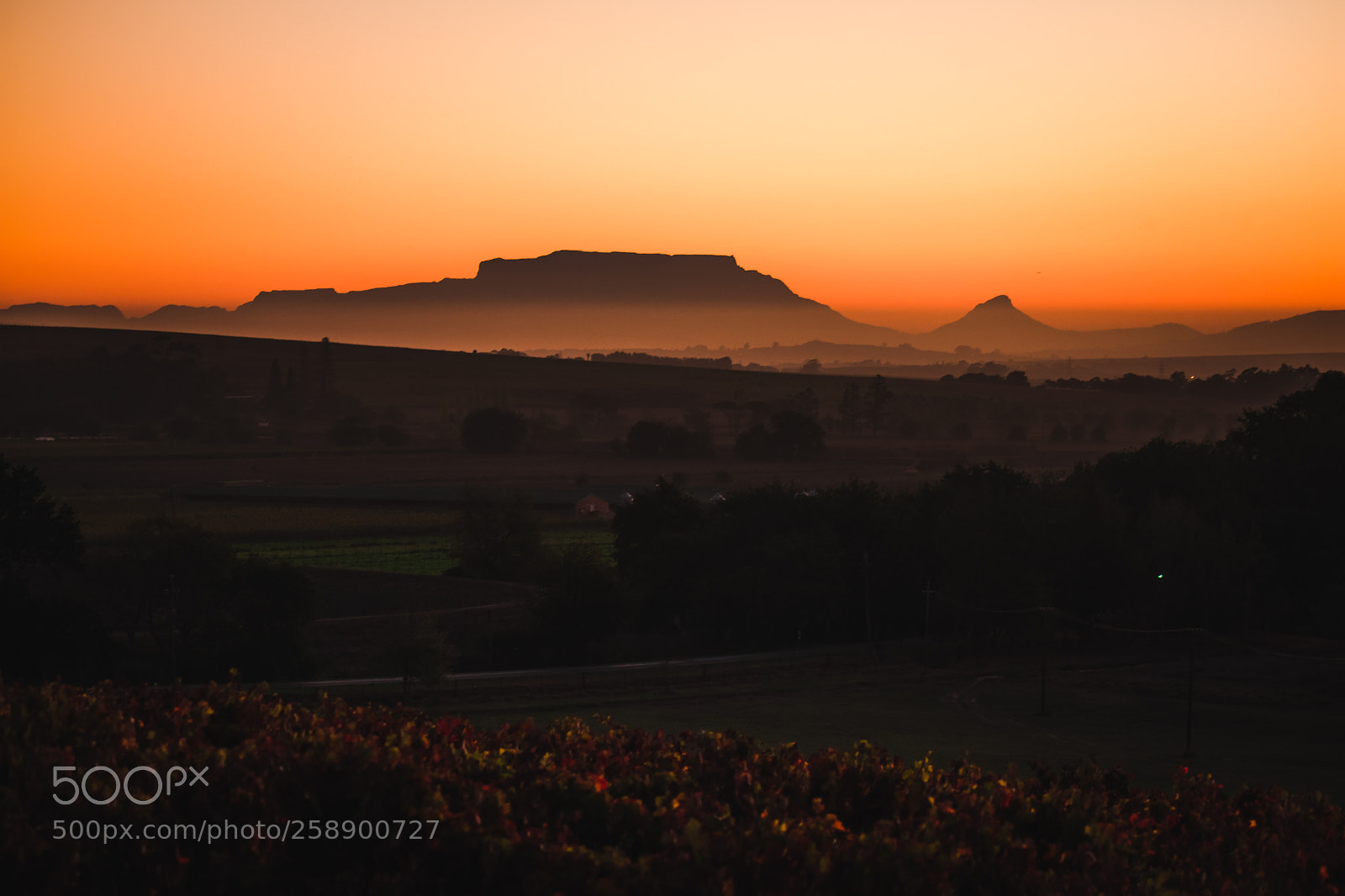 Nikon D3400 sample photo. Table mountain photography