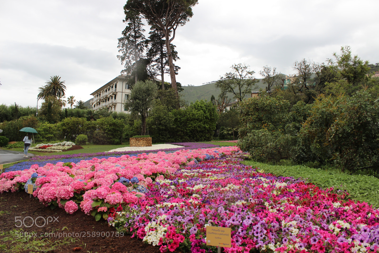 Canon EOS 600D (Rebel EOS T3i / EOS Kiss X5) sample photo. Amazing natural park photography