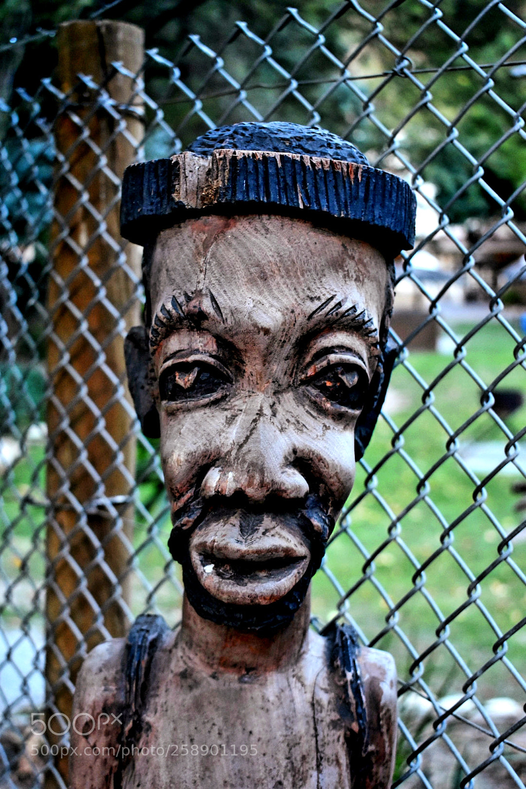 Nikon D3400 sample photo. Totem africa photography