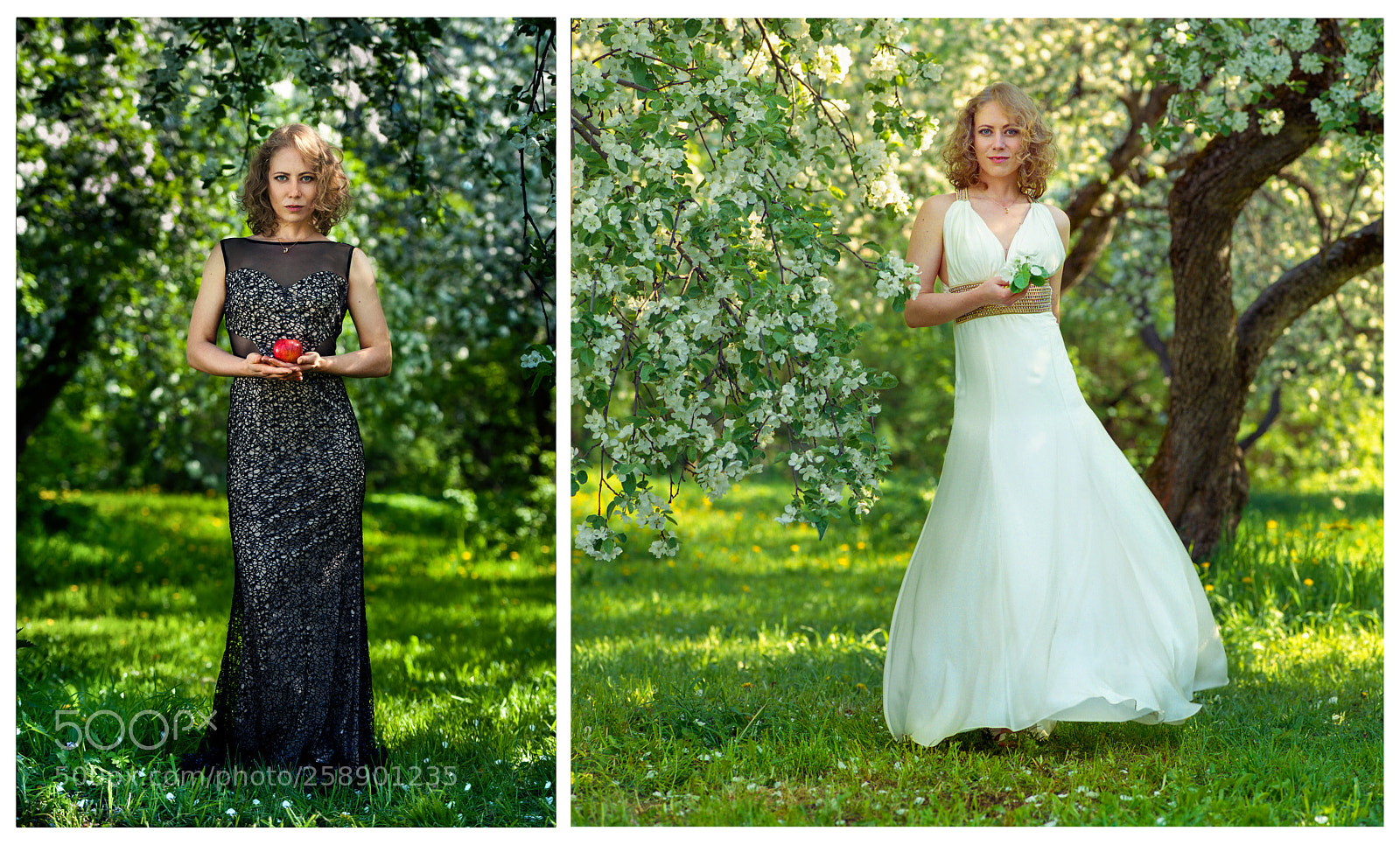 Nikon D700 sample photo. Snowwhite_vs_wich photography