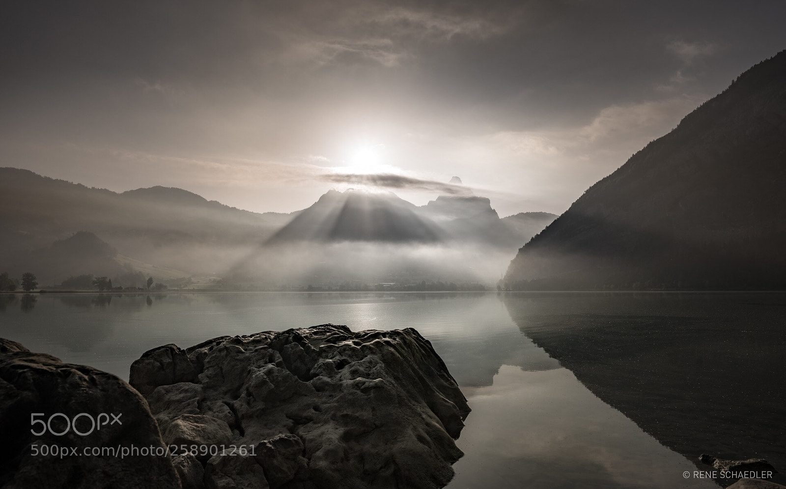 Nikon D750 sample photo. Misty morning photography