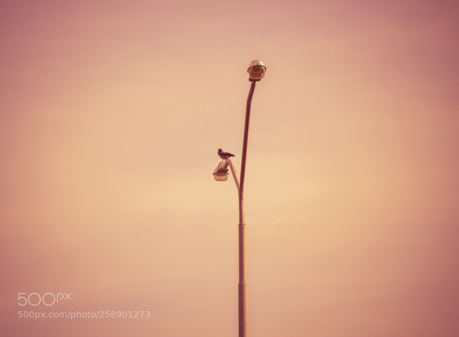 Nikon D3200 sample photo. Lonely photography