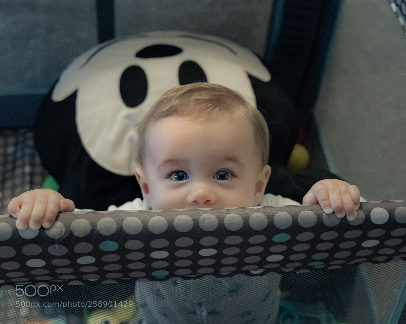 Canon EOS 80D sample photo. Blue eyes and little photography