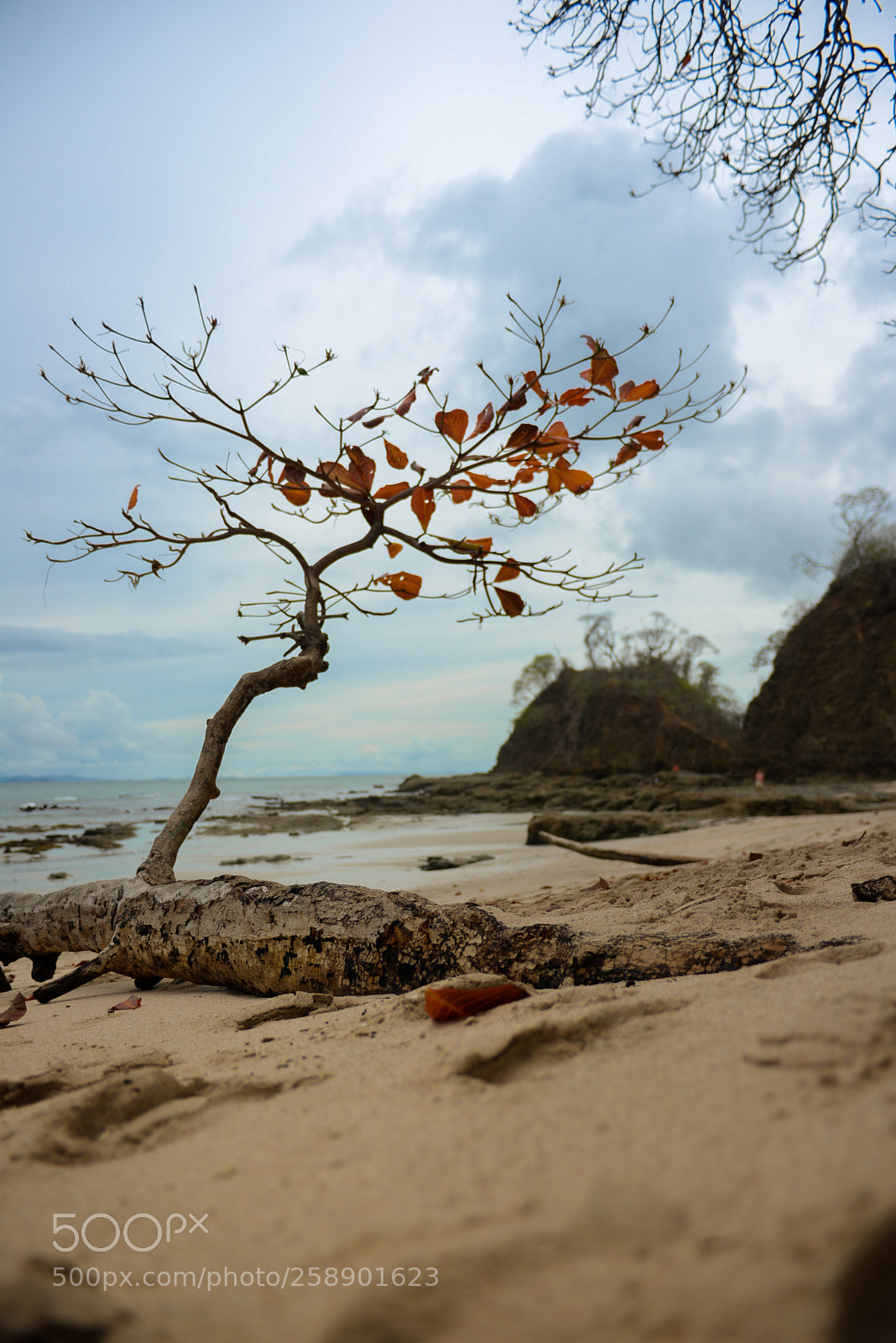 Nikon D610 sample photo. Playa blanca, costa rica photography