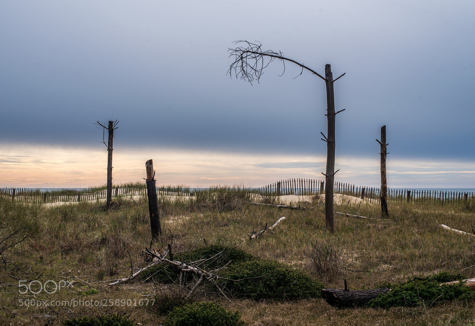 Nikon D750 sample photo. Coucher de soleil photography