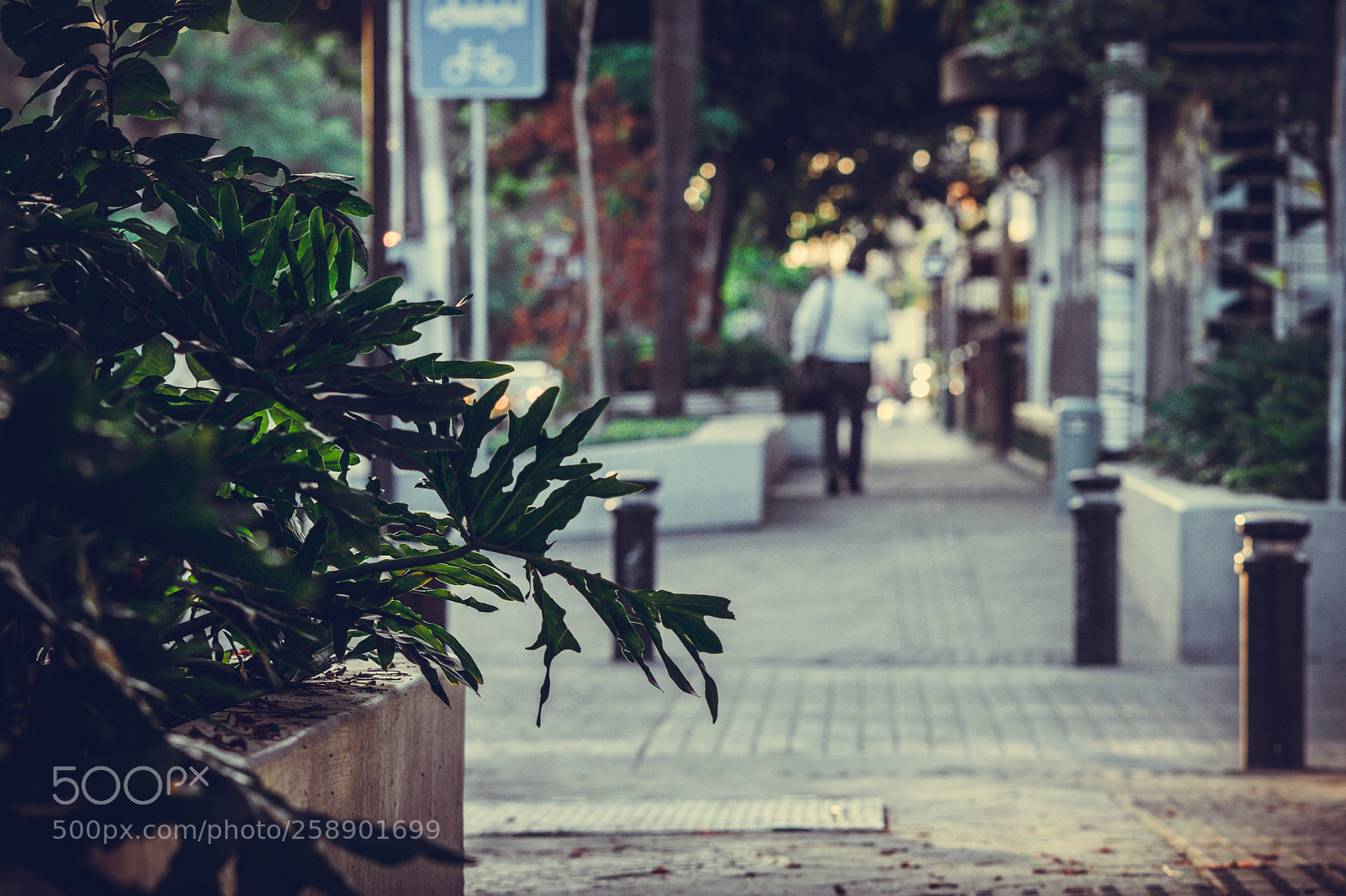 Sony a6000 sample photo. Walk on by photography