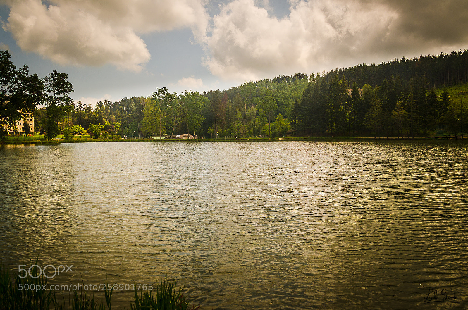Nikon D5100 sample photo. Riflessi d'oro lago acquapartita photography