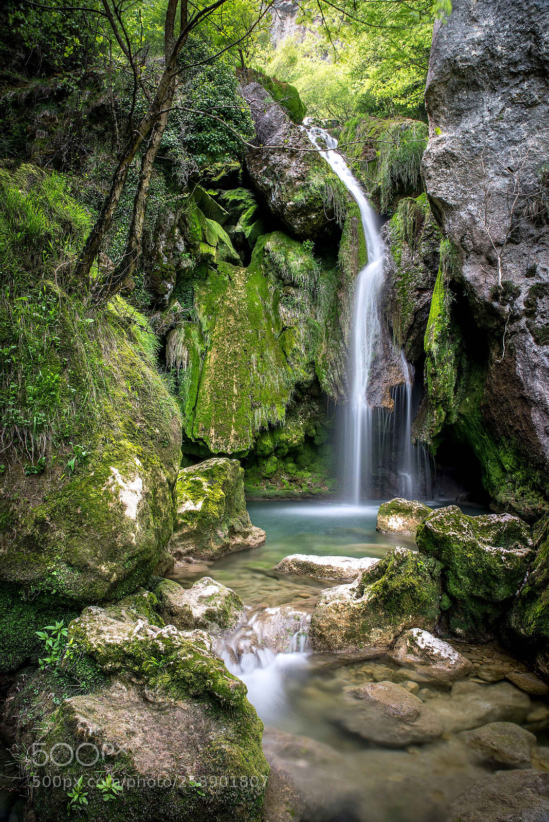 Nikon D810 sample photo. Source of the urederra photography