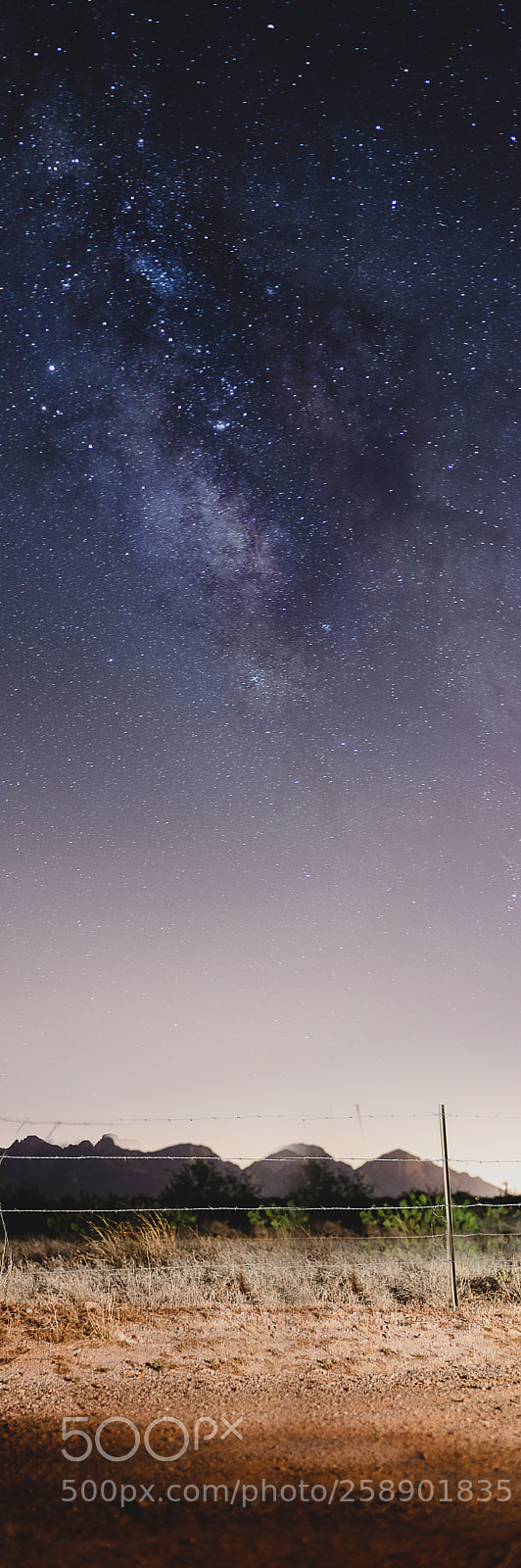 Canon EOS 5D Mark IV sample photo. Saddlebrook milky way photography