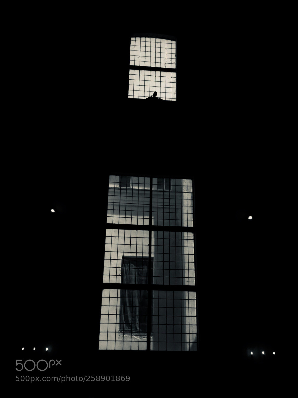 Apple iPhone 6 sample photo. Untitled photography