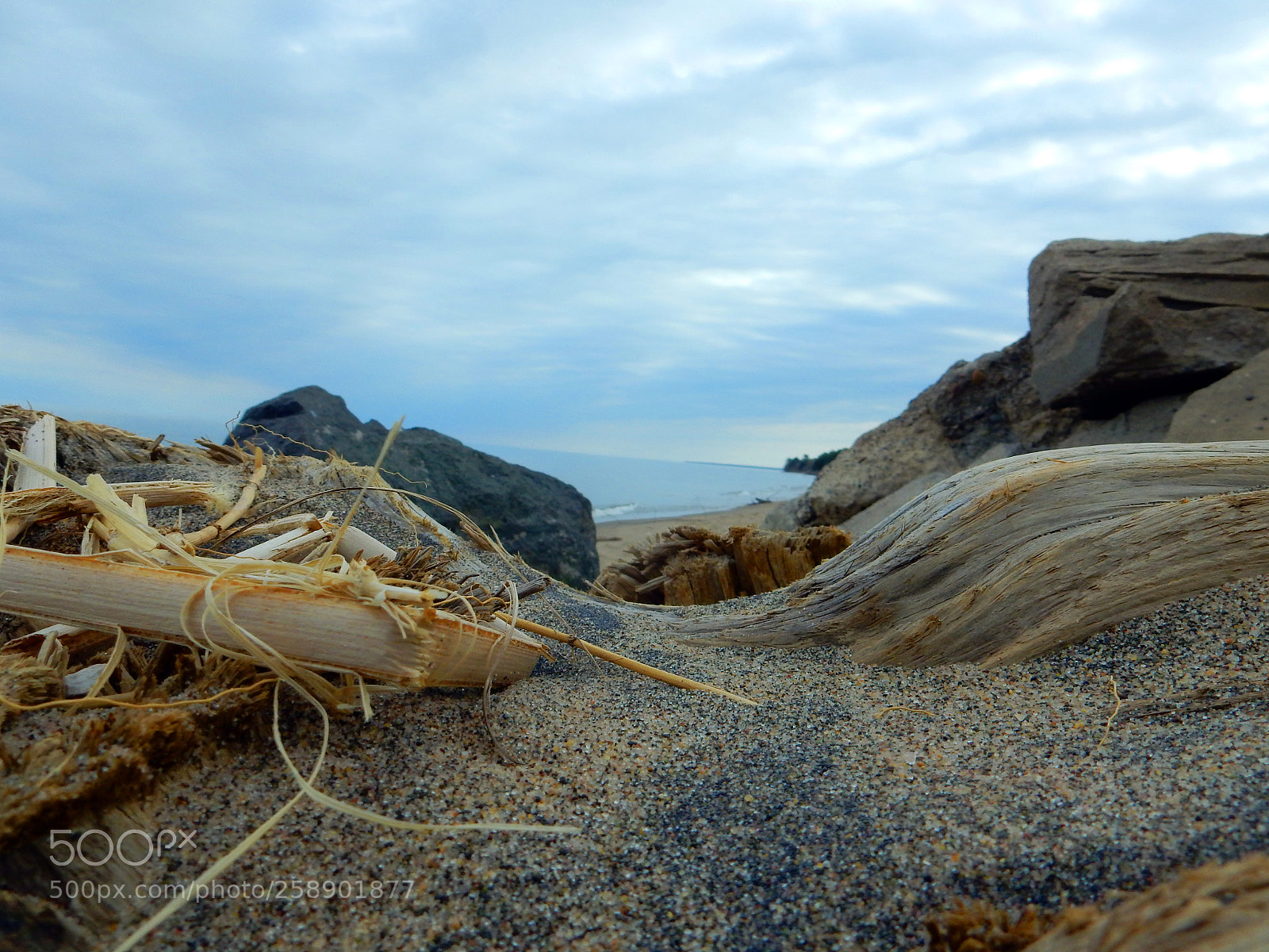 Nikon Coolpix S9900 sample photo. Drift wood and sand photography