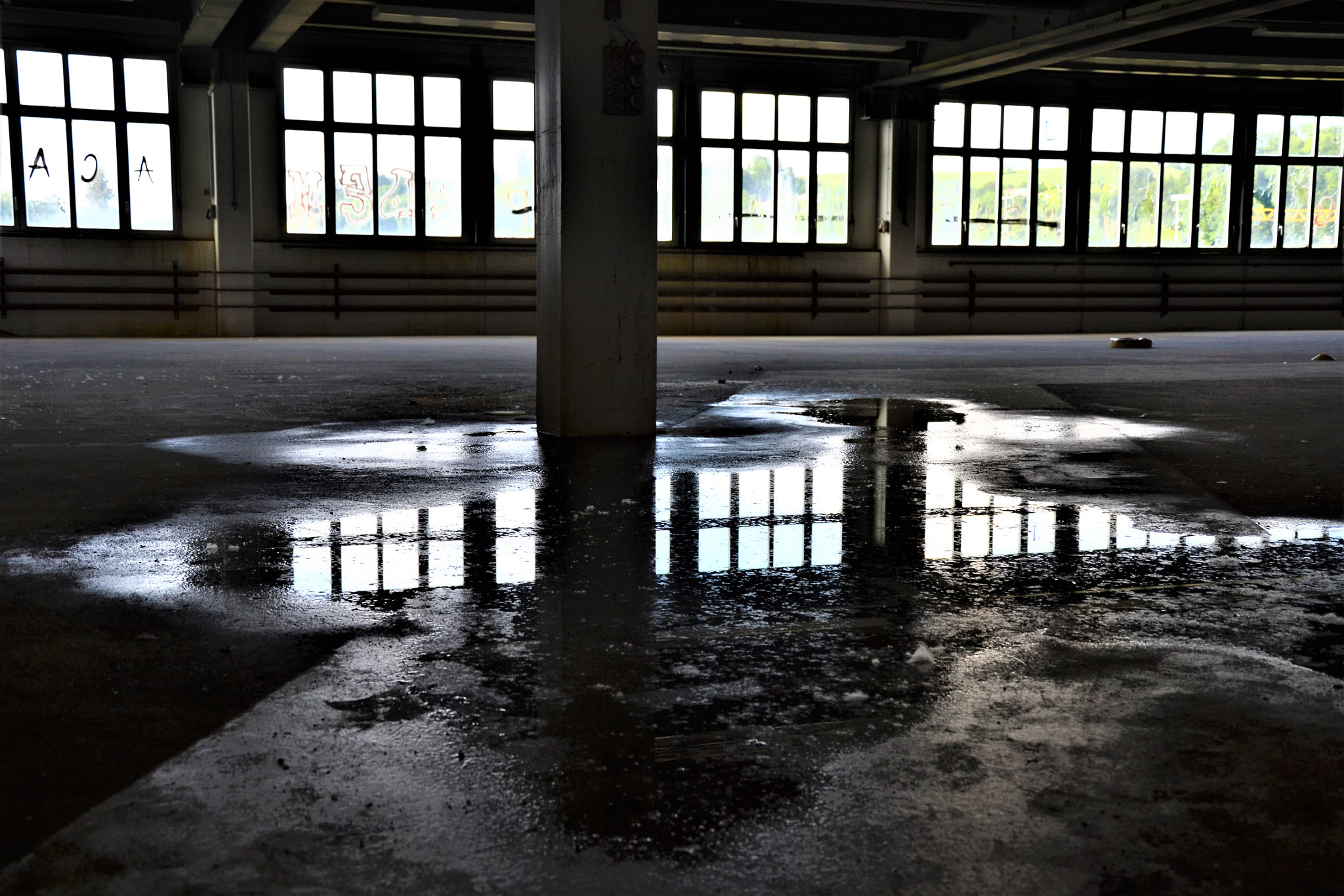 Nikon D3100 sample photo