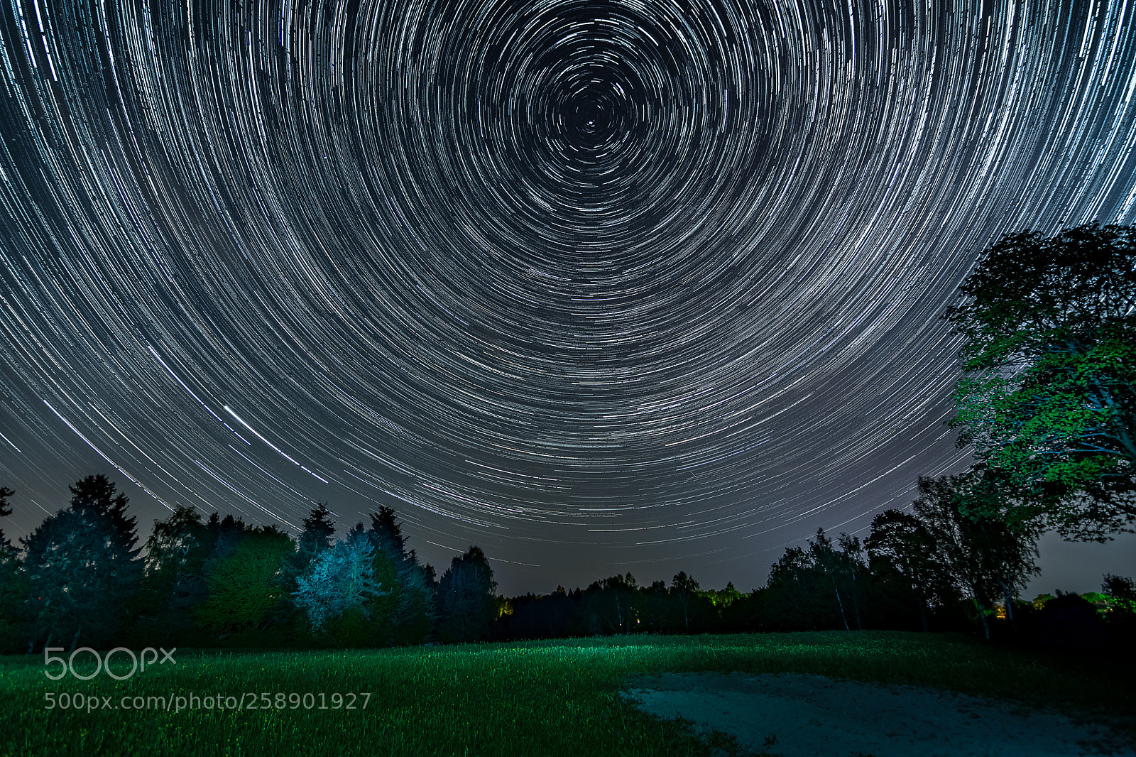 Nikon D7200 sample photo. Circling stars photography