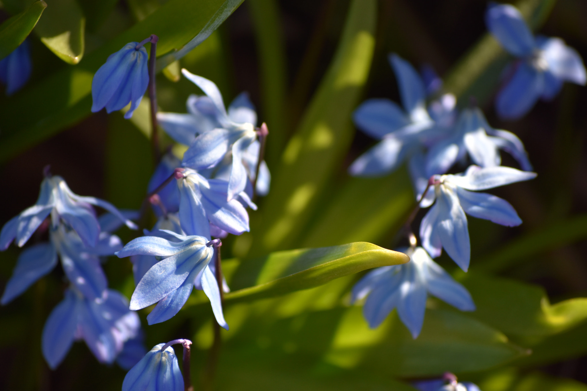 Nikon D3400 sample photo. Dsc photography
