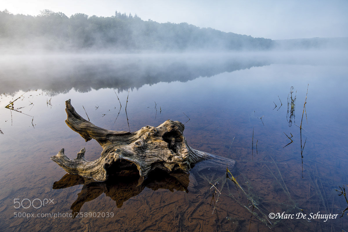 Canon EOS 5D Mark IV sample photo. Lac de la gileppe photography
