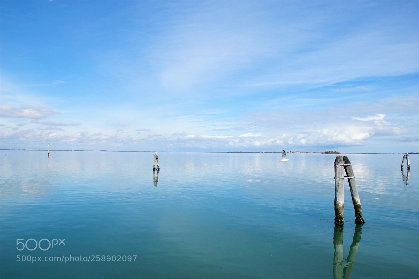 Nikon D3300 sample photo. Venice sea photography