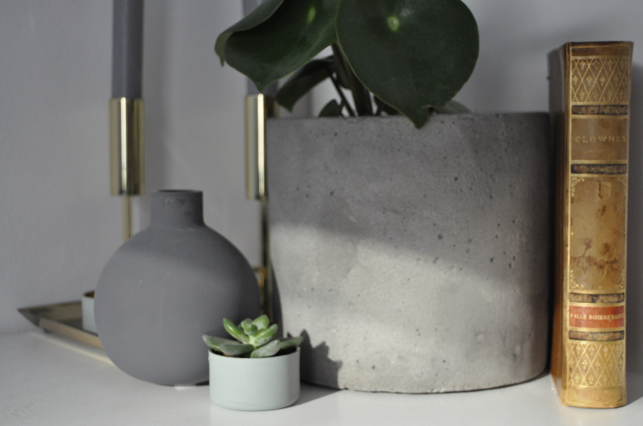Nikon D90 sample photo. Succulents and vintage books photography