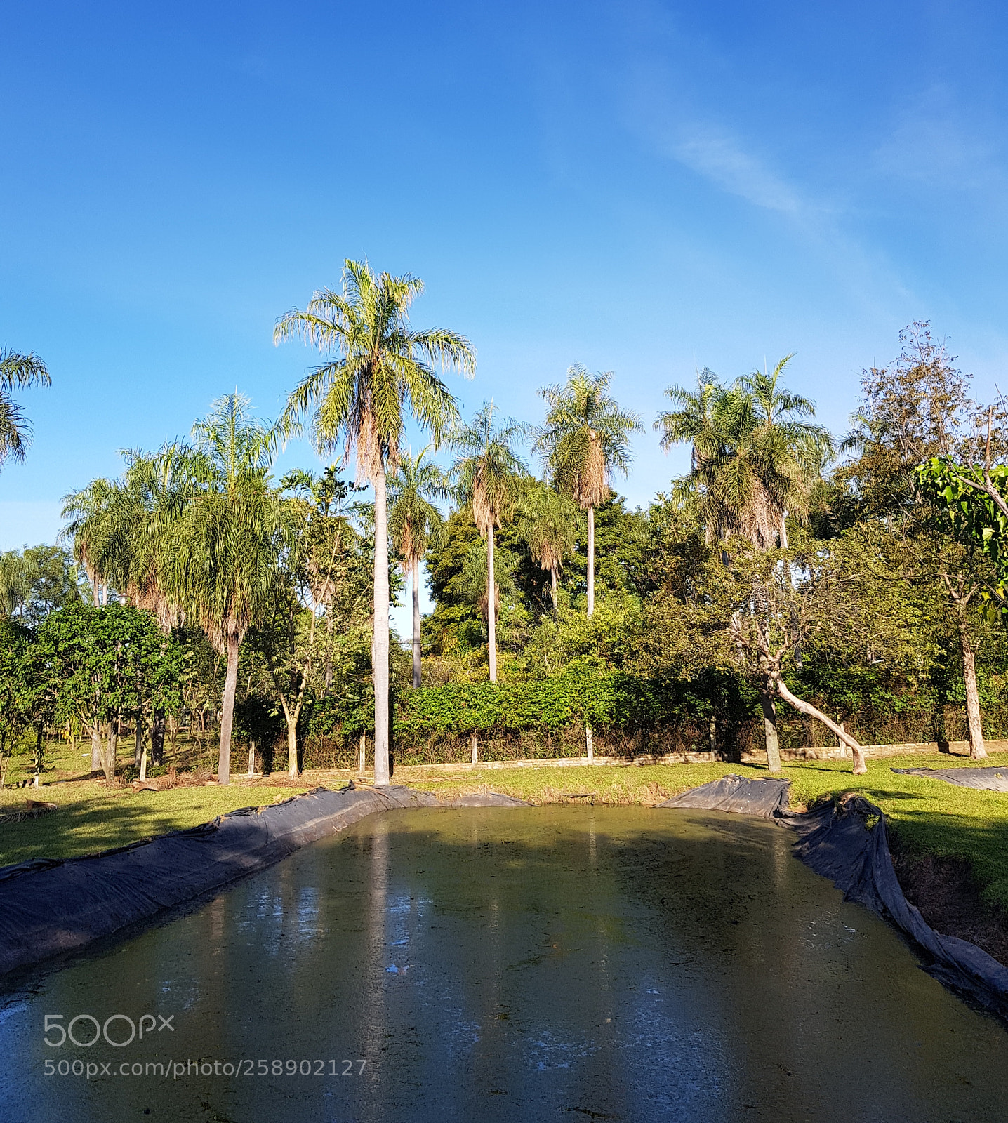 Samsung Galaxy S8 sample photo. Little peace photography