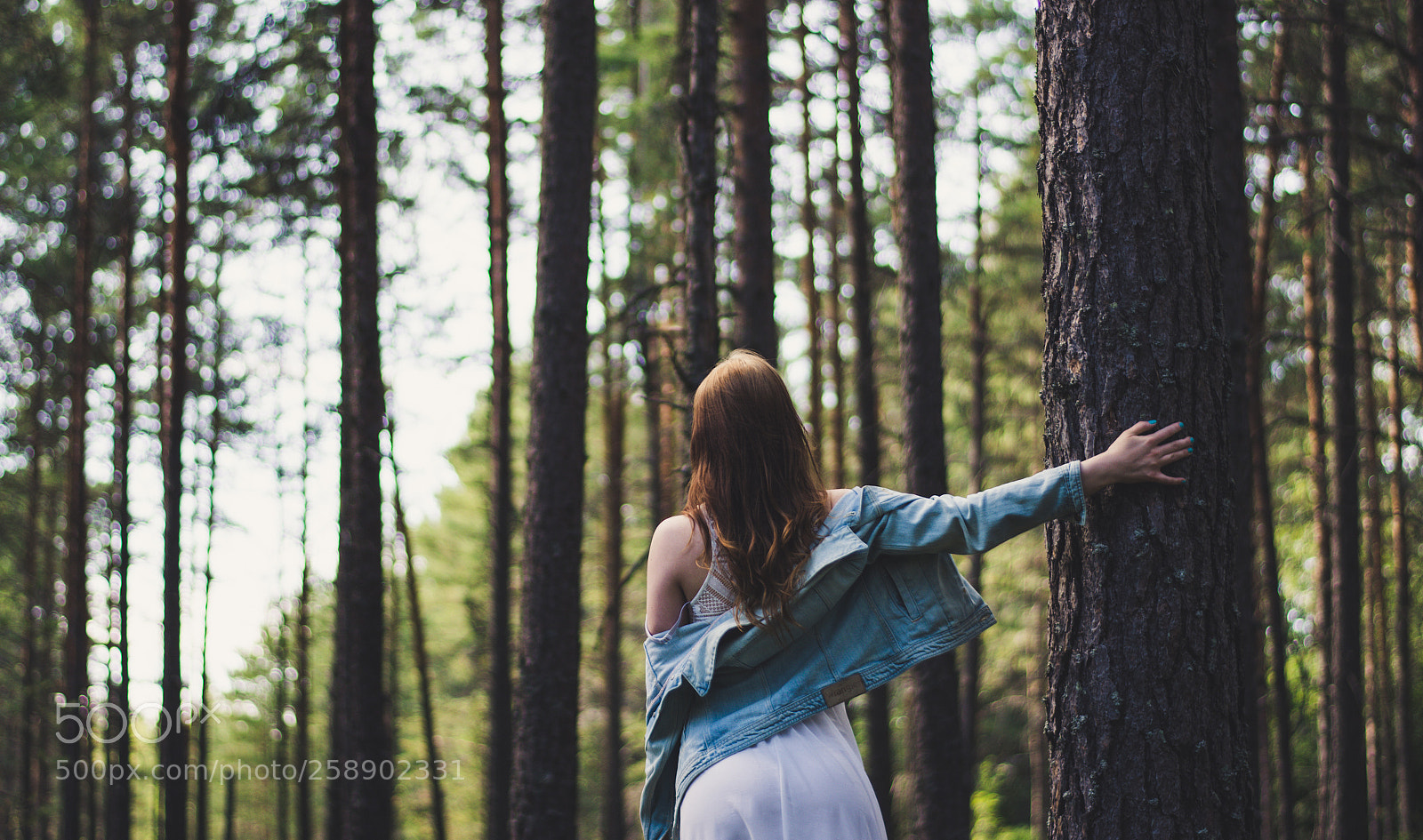 Nikon D7100 sample photo. Forest photography