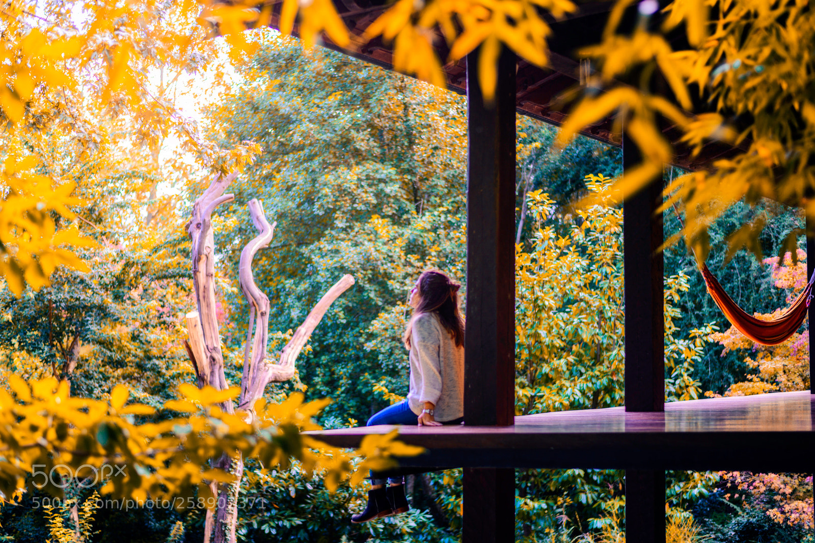 Nikon D610 sample photo. Untitled photography