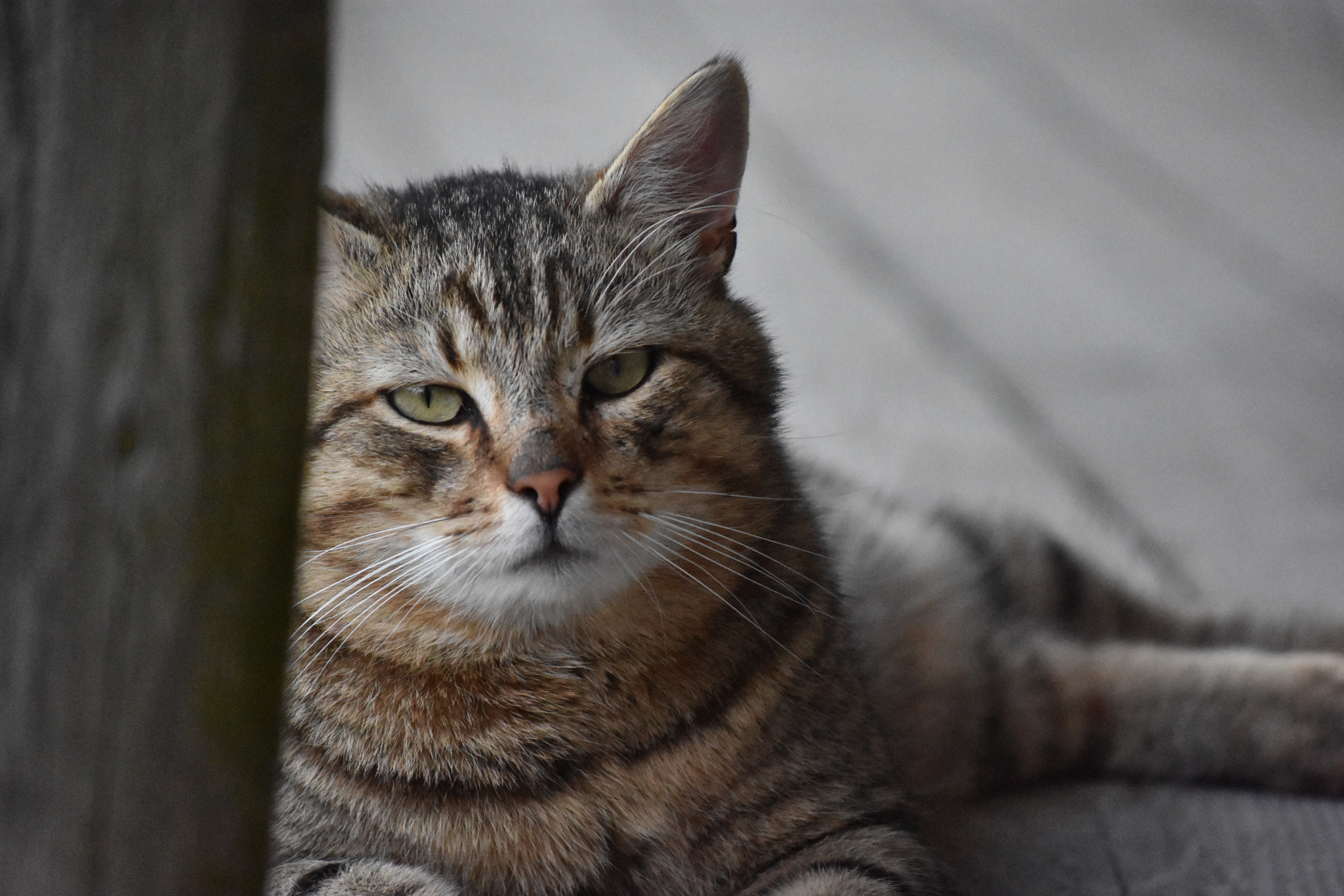 Nikon D3400 sample photo. Dsc photography