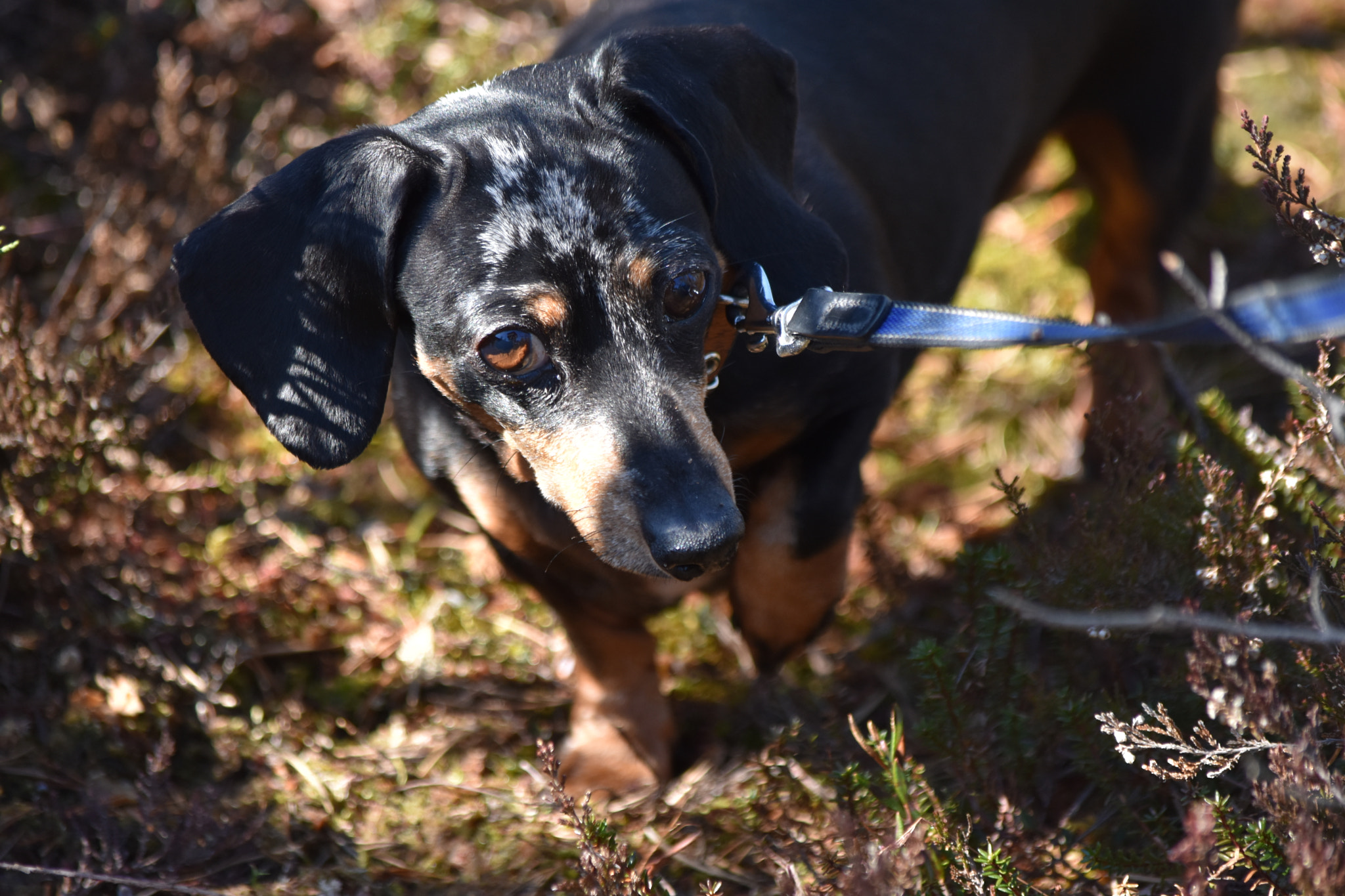 Nikon D3400 sample photo. Dsc photography