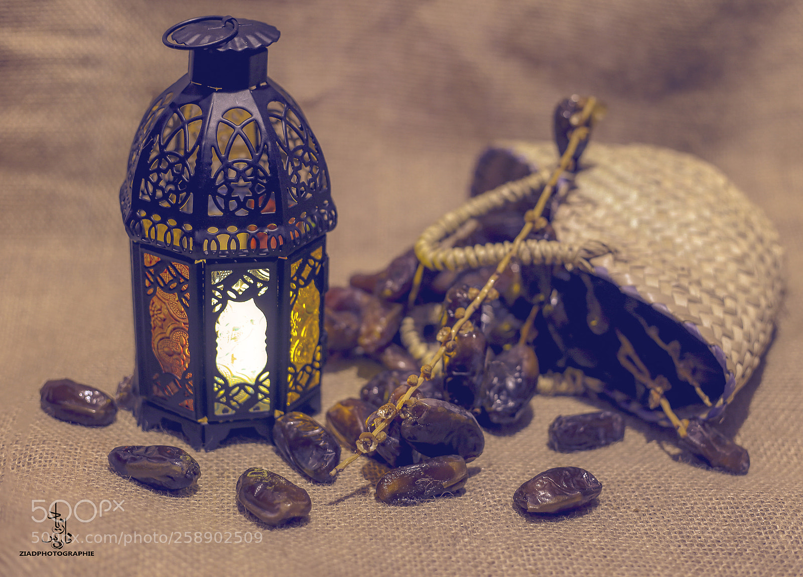 Canon EOS 6D sample photo. Sddf photography