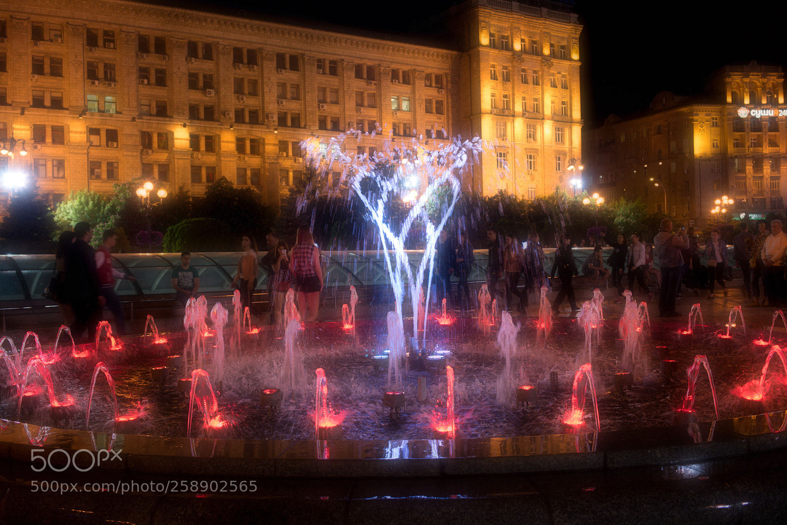 Sony a7R III sample photo. Dsc photography