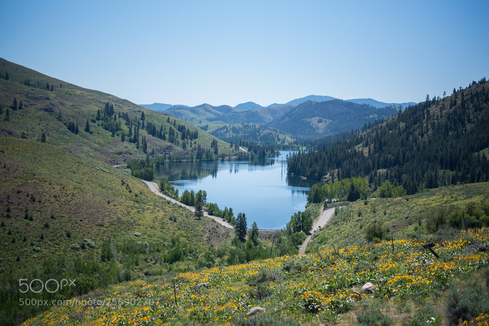 Nikon D750 sample photo. Patterson lake photography