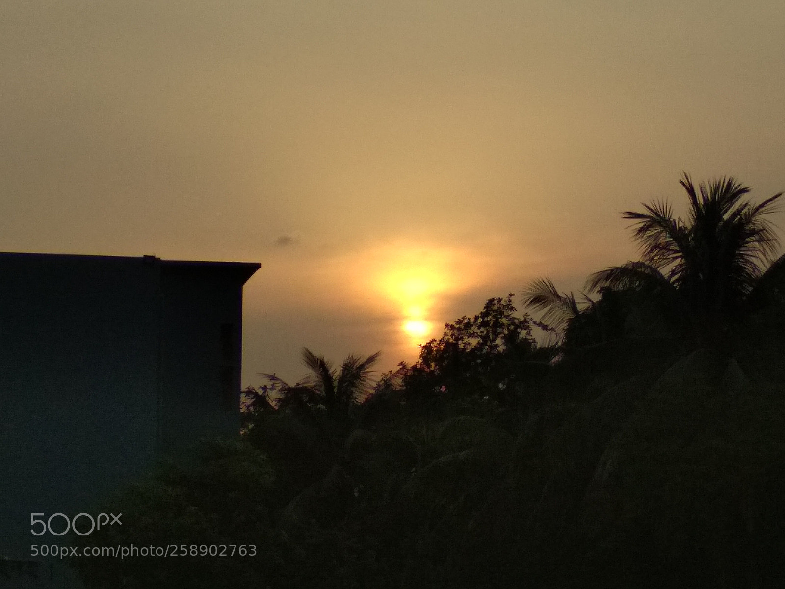 Xiaomi Redmi 4X sample photo. Untitled photography