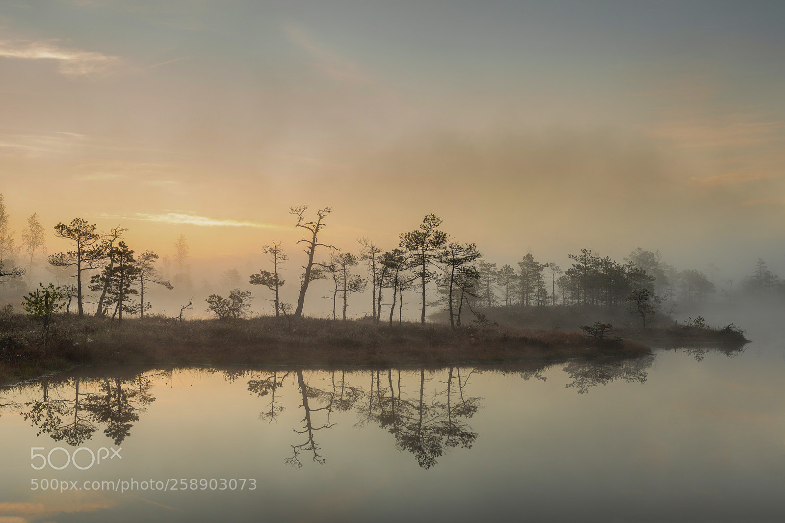 Canon EOS 6D sample photo. Sunrise at swamp with photography