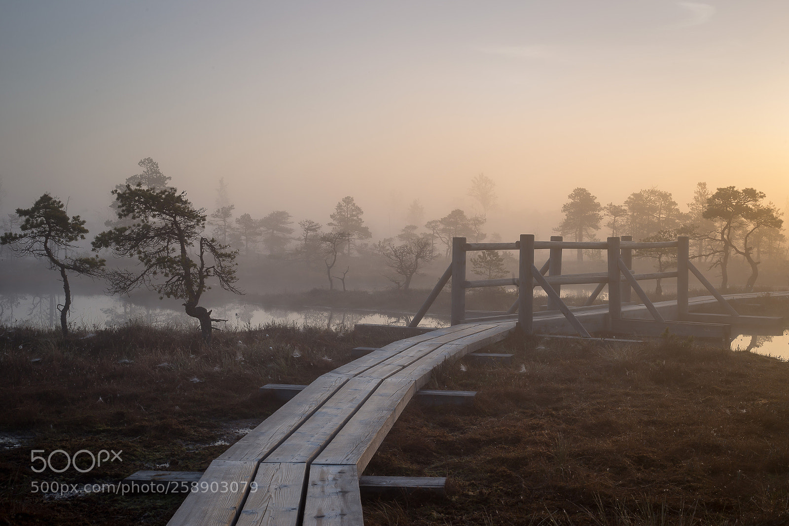 Canon EOS 6D sample photo. Sunrise at swamp with photography