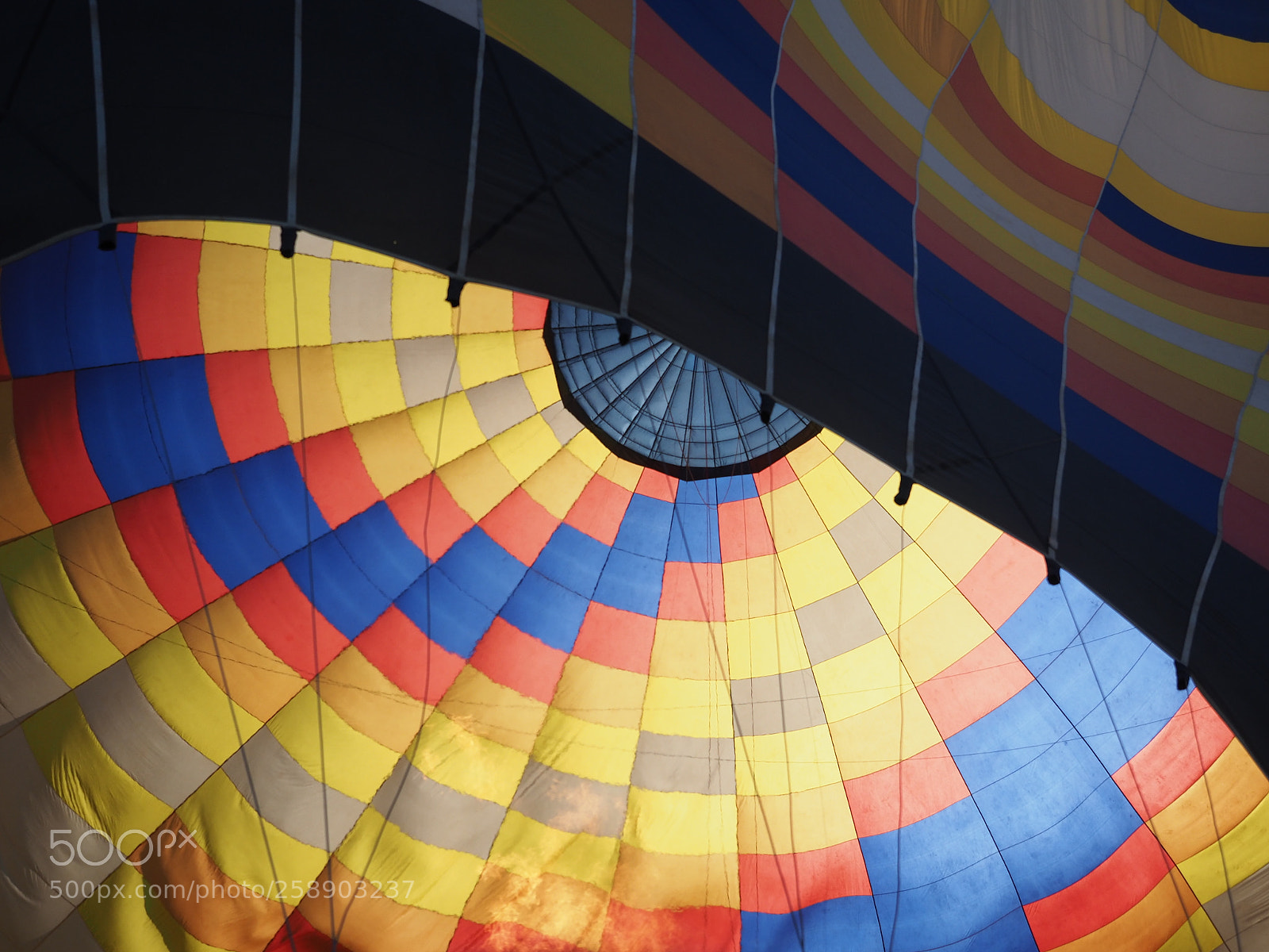 Olympus OM-D E-M1 Mark II sample photo. Hot ait balloons festival photography