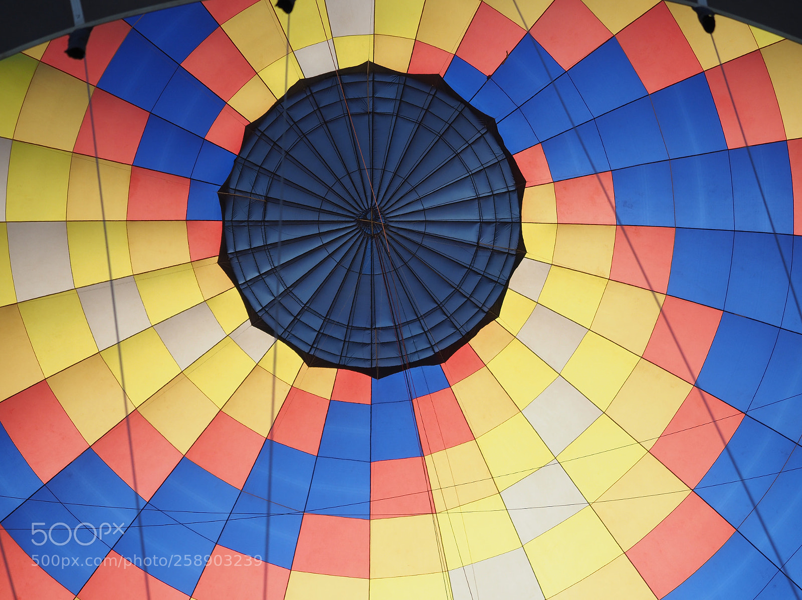 Olympus OM-D E-M1 Mark II sample photo. Hot ait balloons festival photography