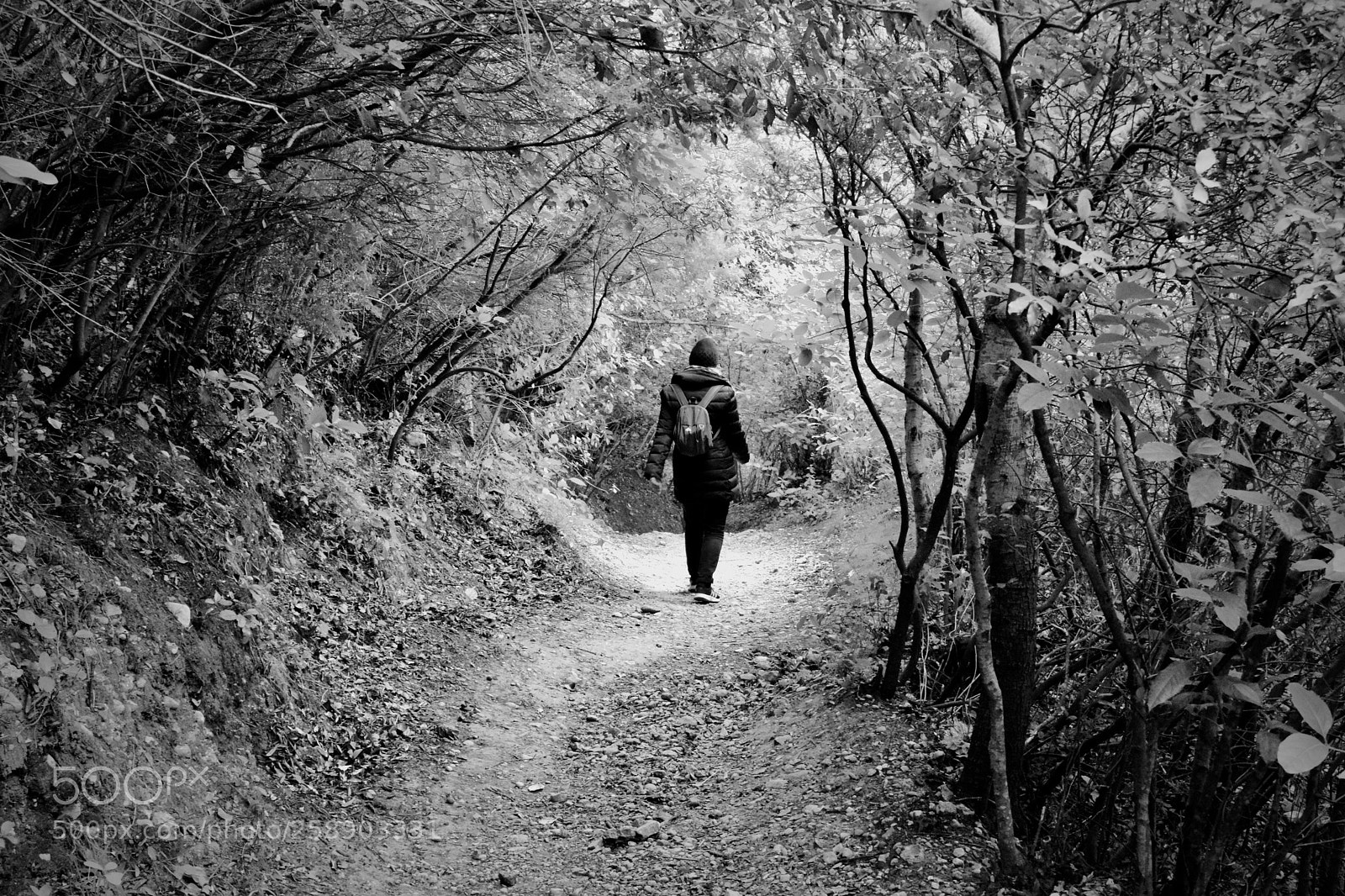 Nikon D3300 sample photo. Hiking woman photography
