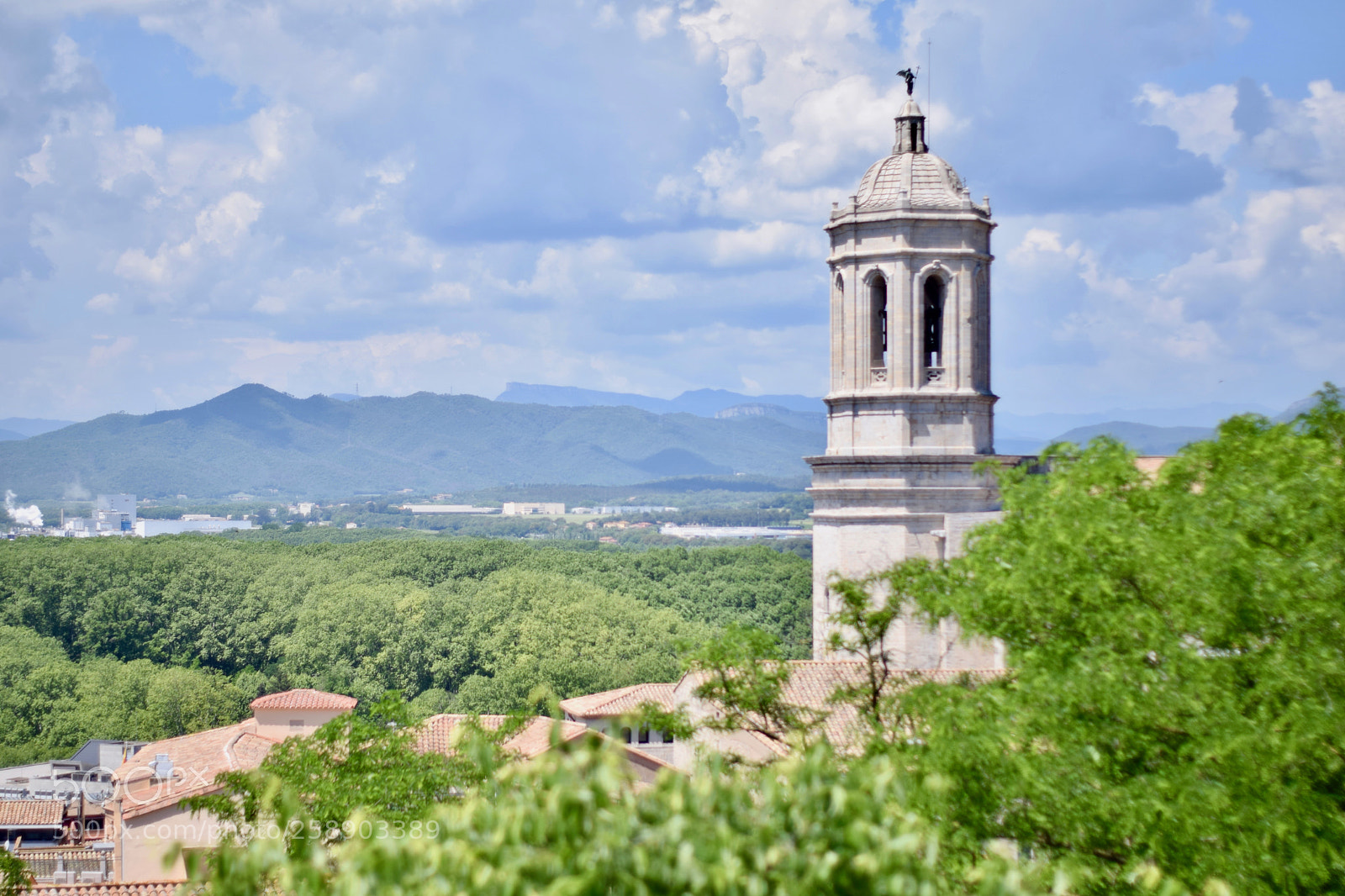 Nikon D3300 sample photo. Bell tower photography