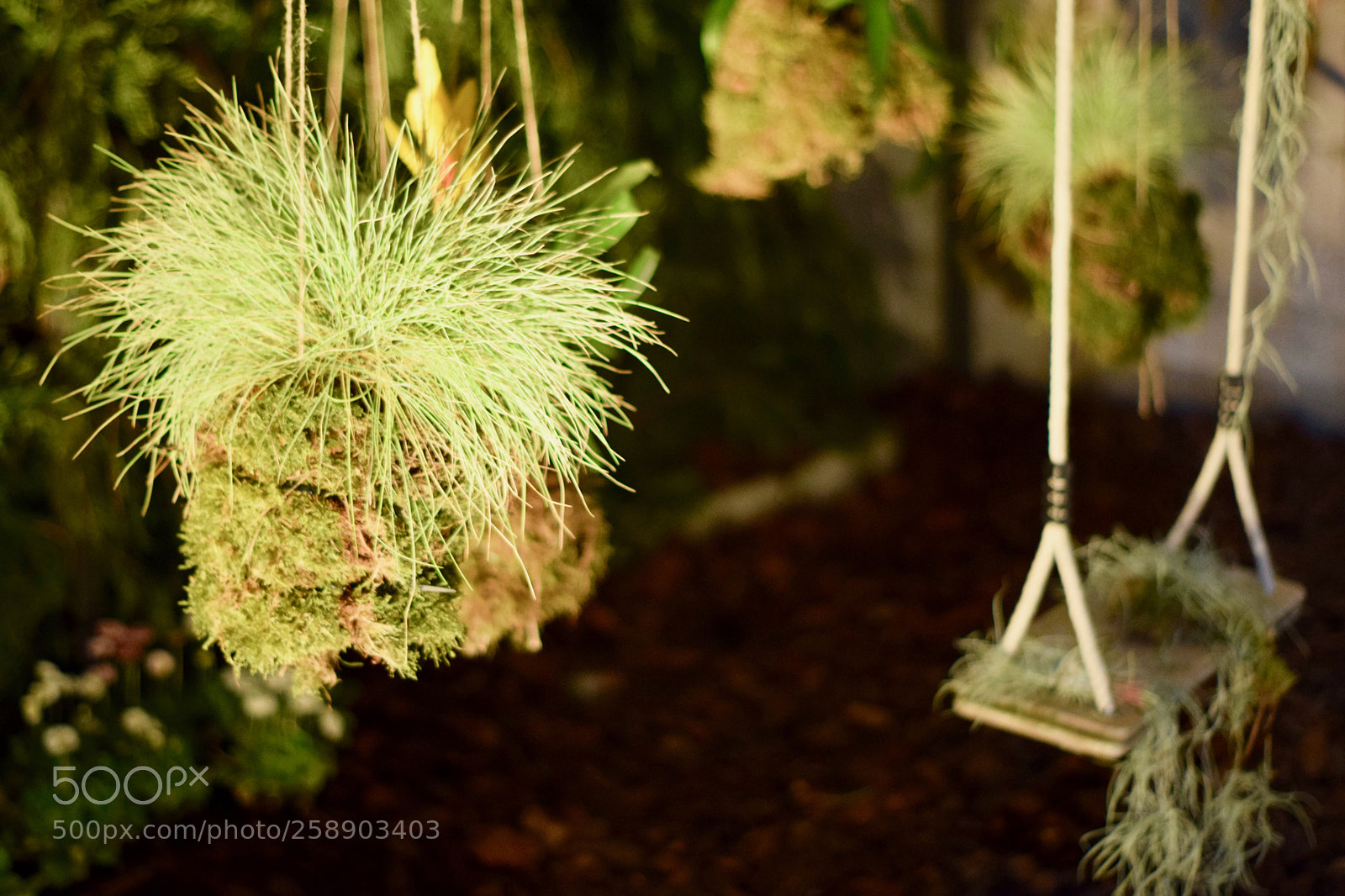 Nikon D3300 sample photo. Green swing photography