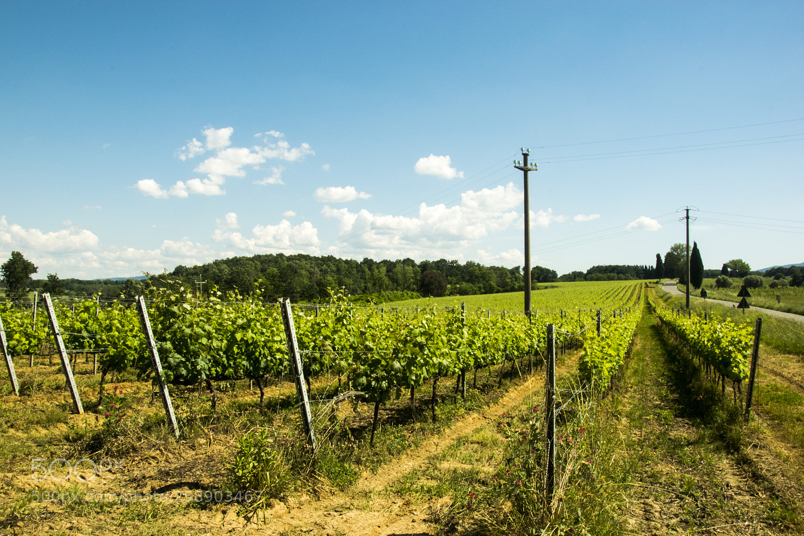 Nikon D3300 sample photo. Farm in tuscany photography