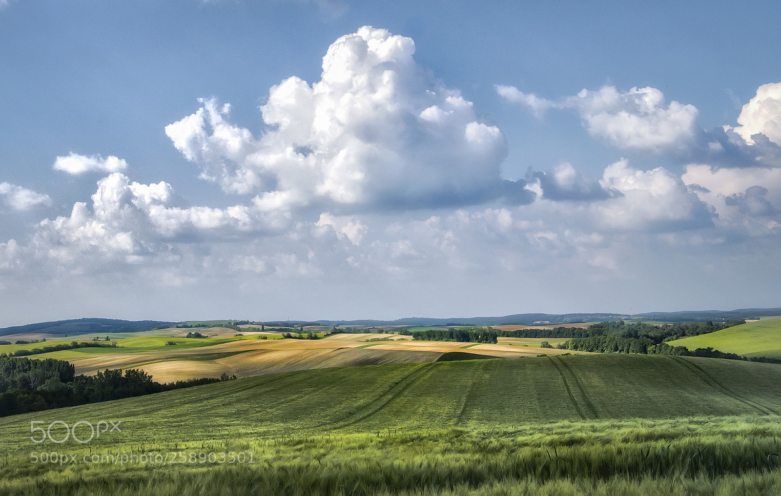 Canon EOS 80D sample photo. Felhős photography