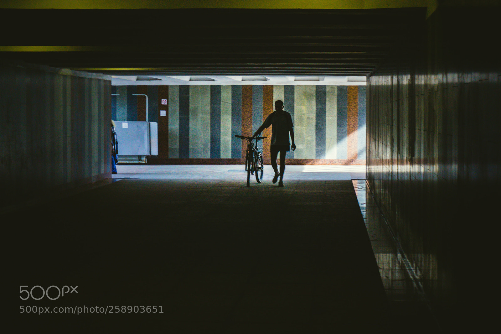 Sony a6000 sample photo. The tunnel photography